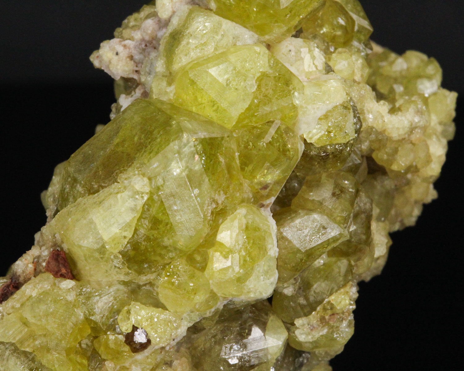 Andradite var. Topazolite