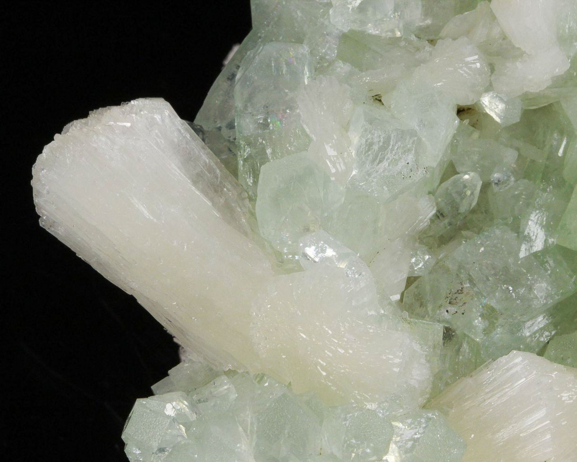 Apophyllite with Stilbite