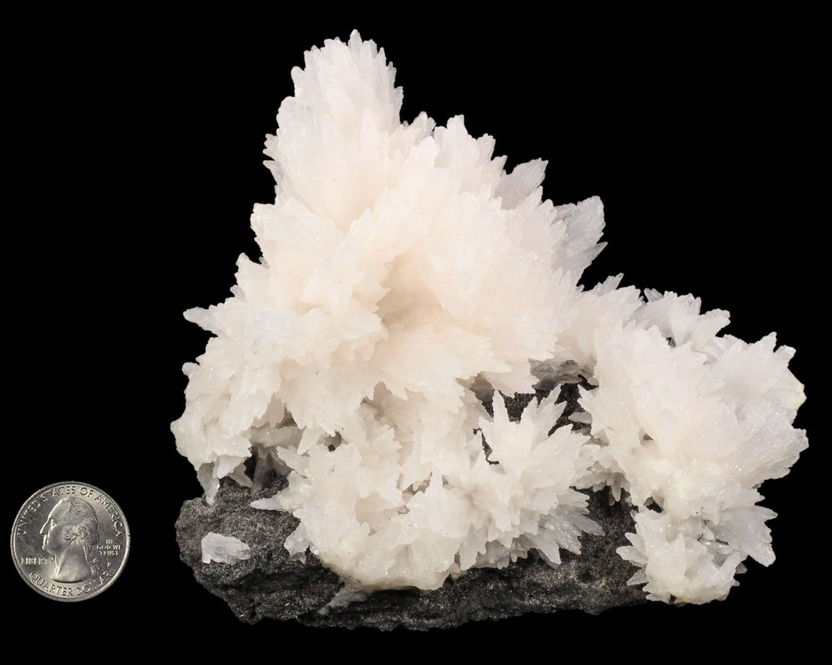 Mangano Calcite