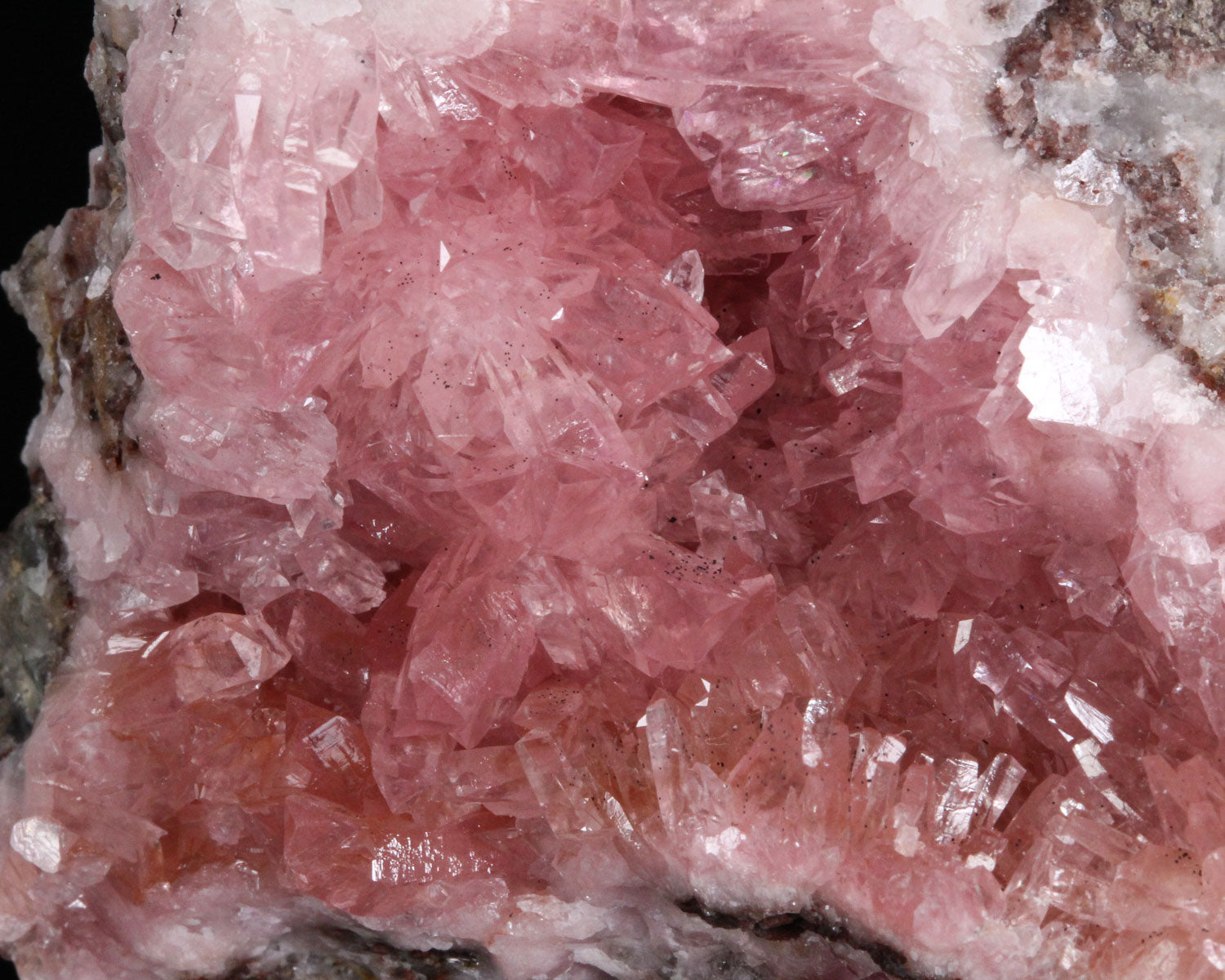 Cobalto Calcite