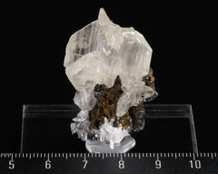 Cerrusite