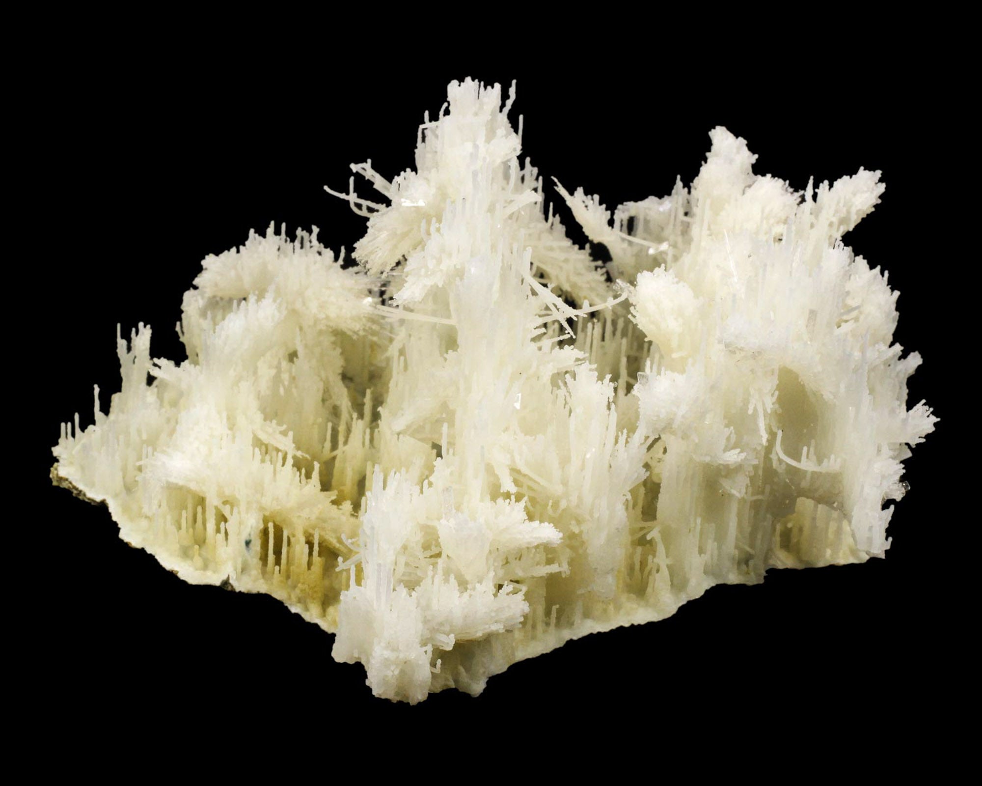 Chalcedony Needle Stalactites