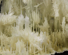 Chalcedony Needle Stalactites