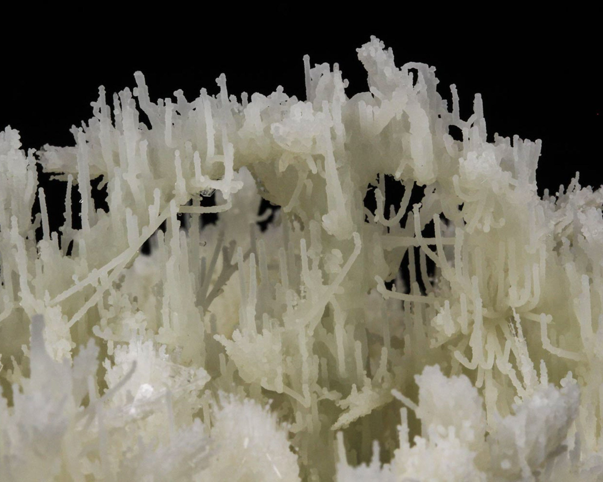 Chalcedony Needle Stalactites