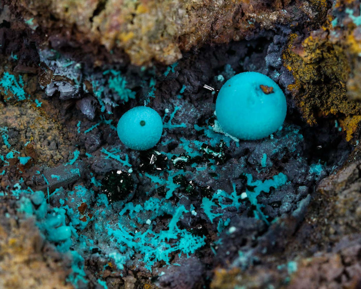 Chrysocolla with Brochantite