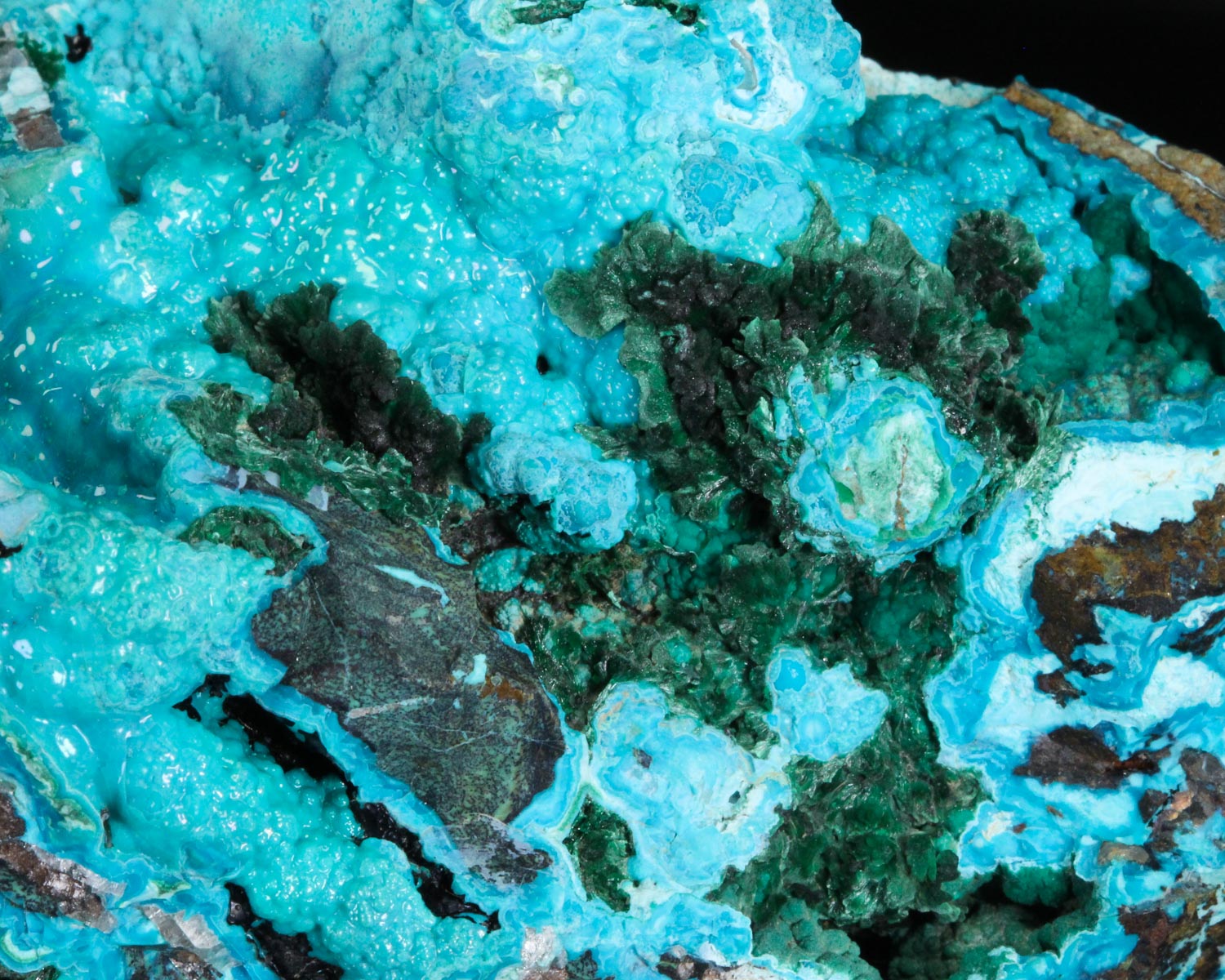 Chrysocolla with Malachite