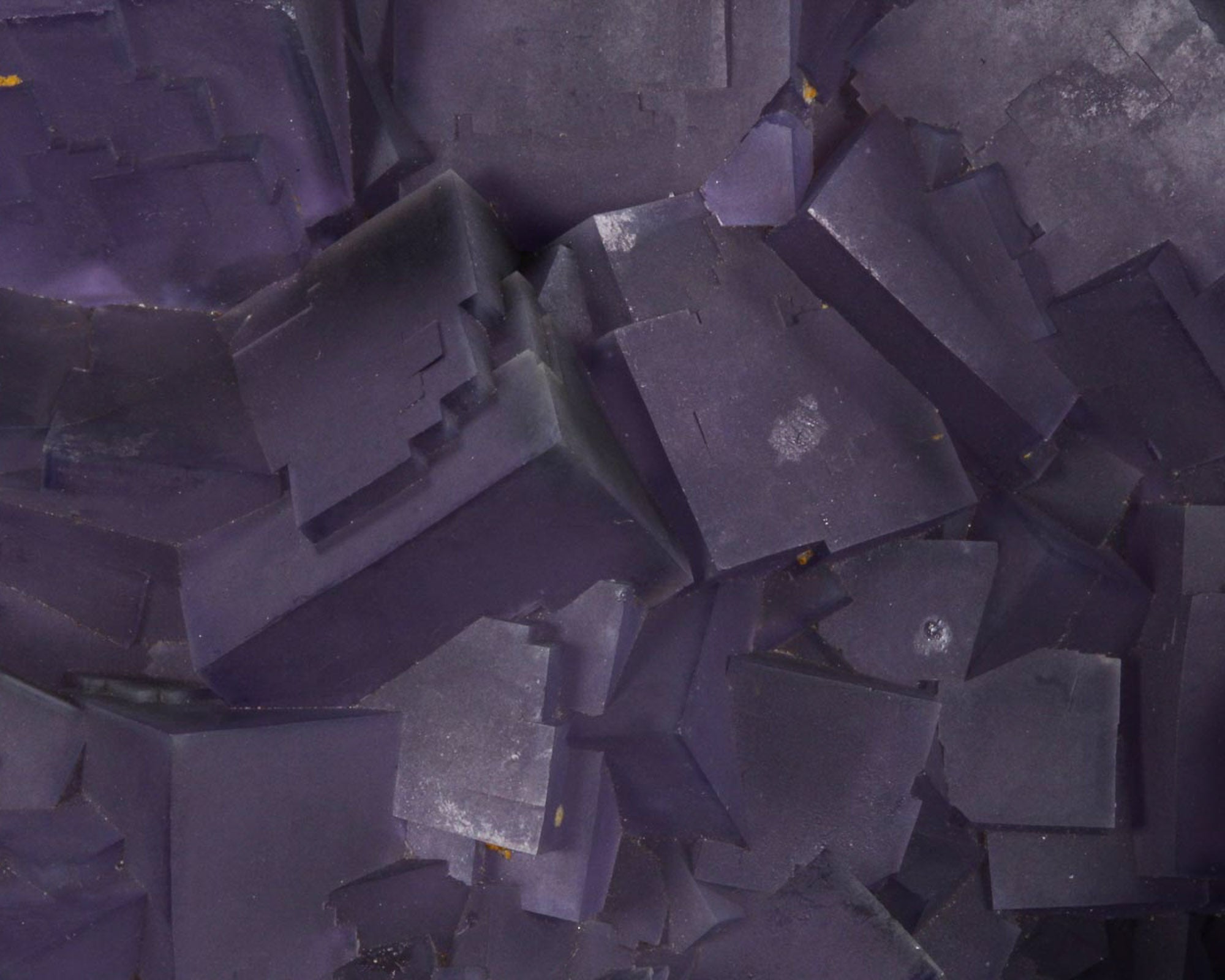 Fluorite, Purple Cubic