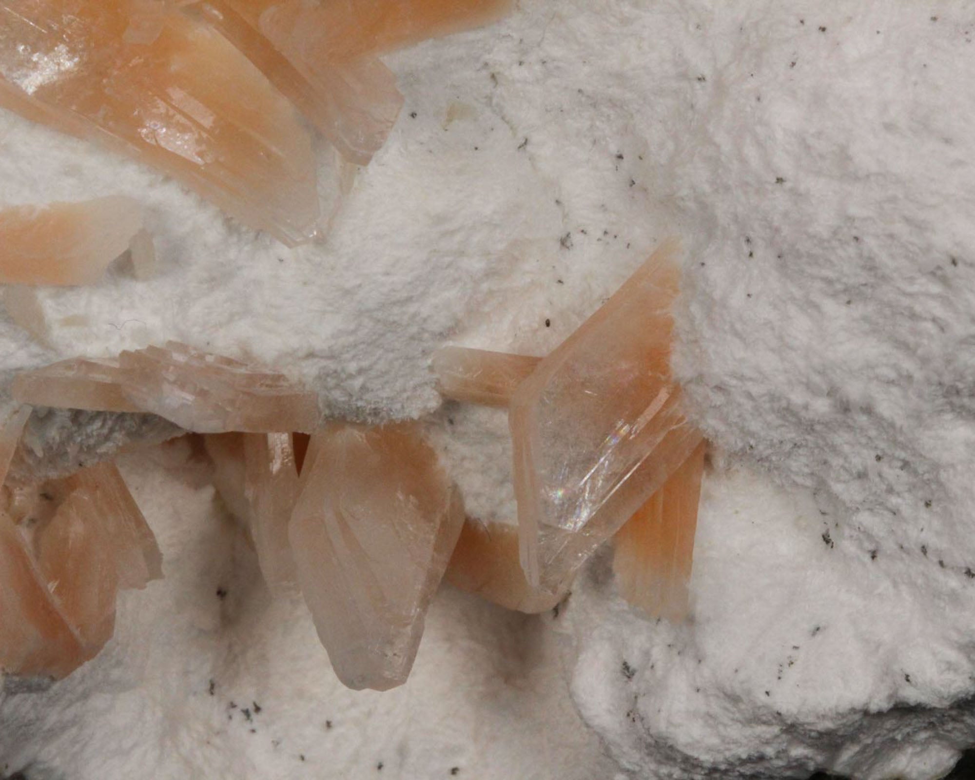 Heulandite on Mordenite