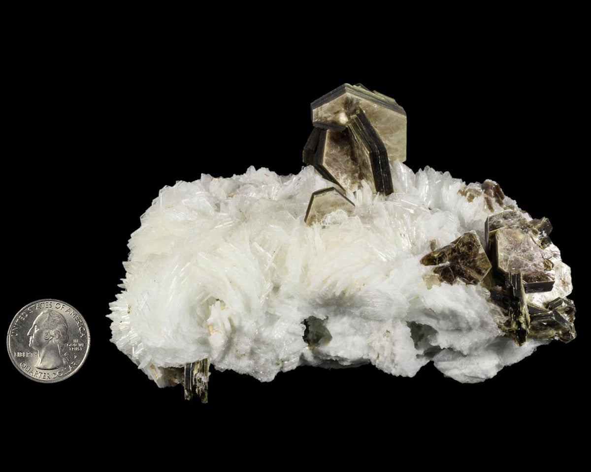 Muscovite on Albite