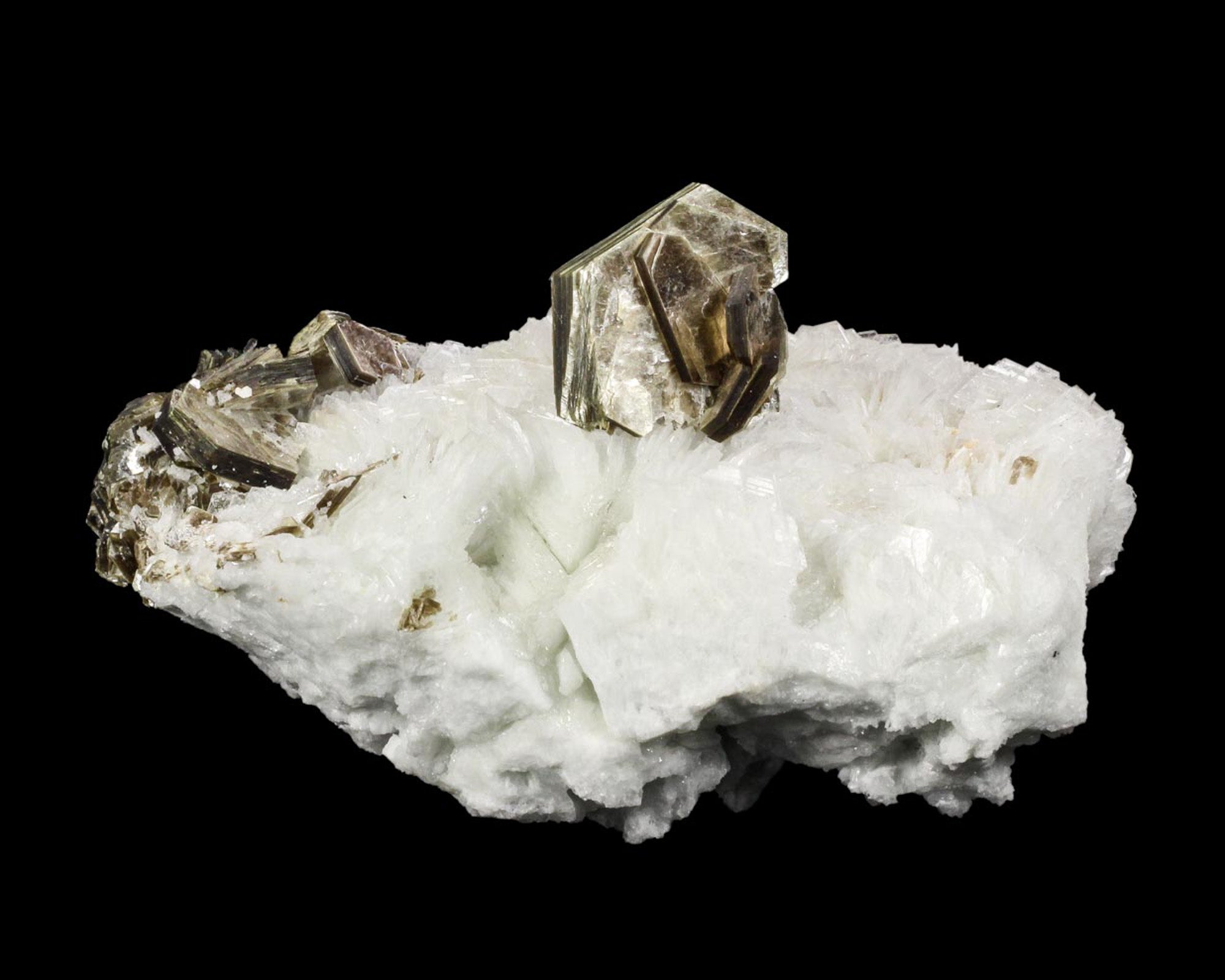 Muscovite on Albite