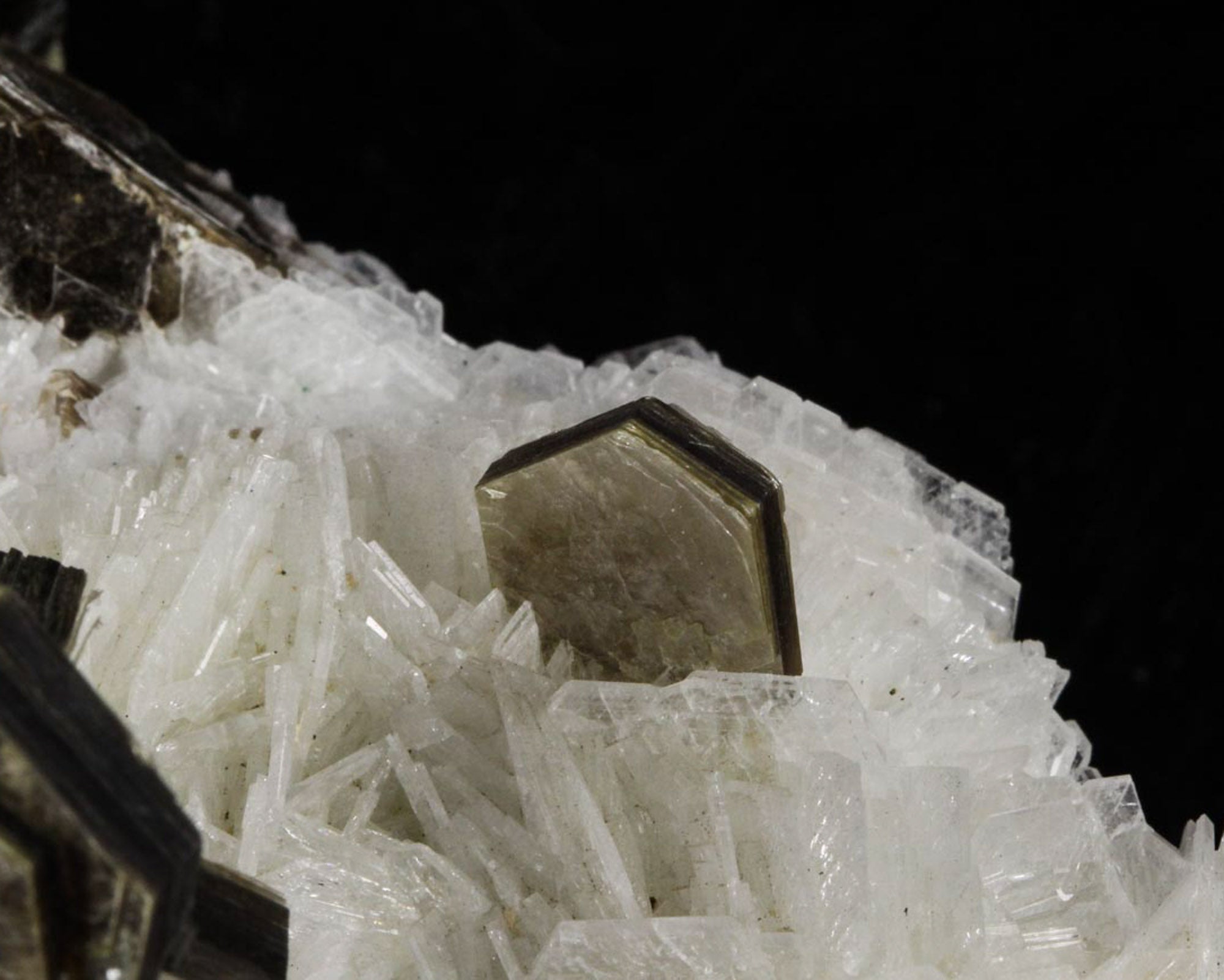 Muscovite on Albite