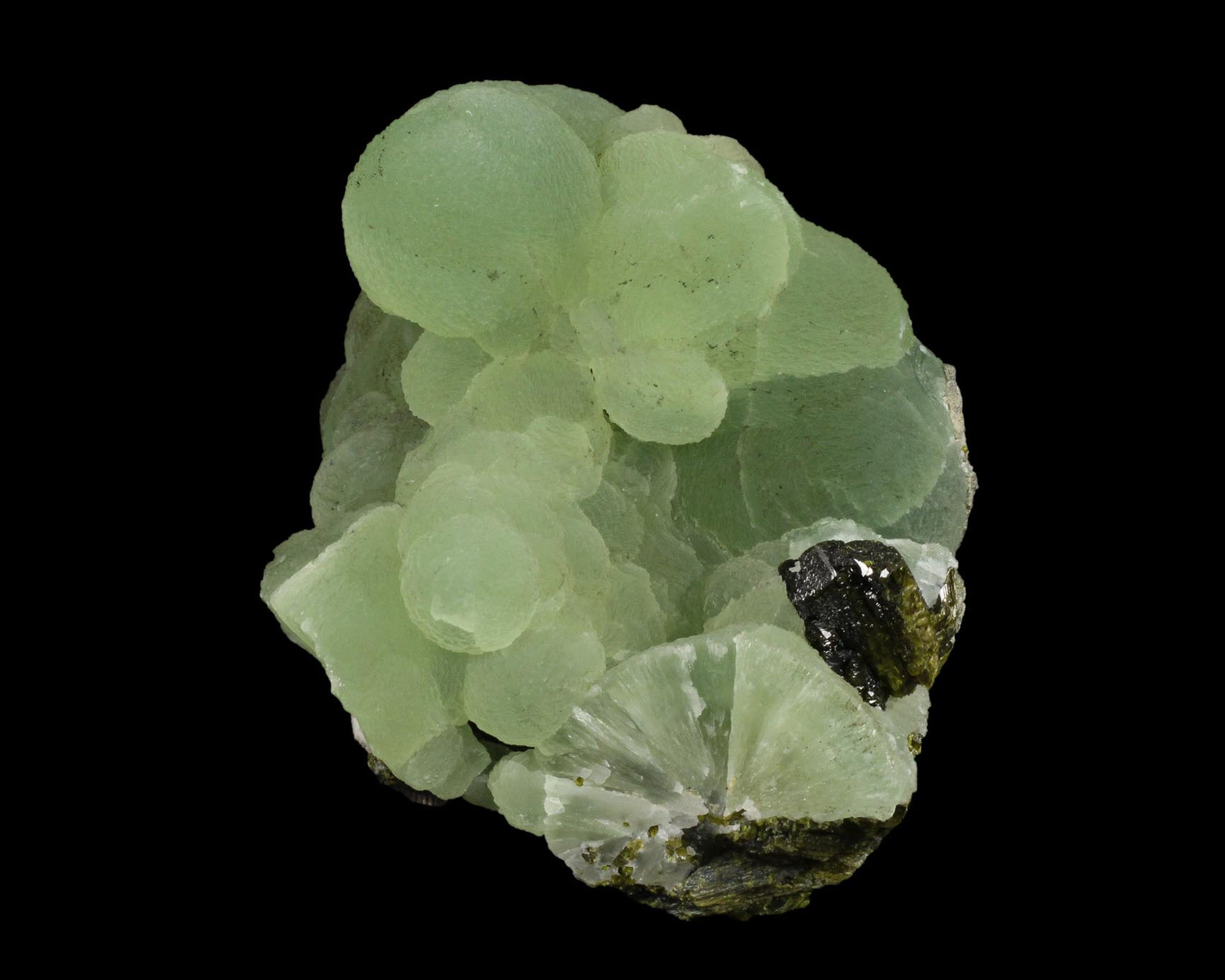 Prehnite with Epidote