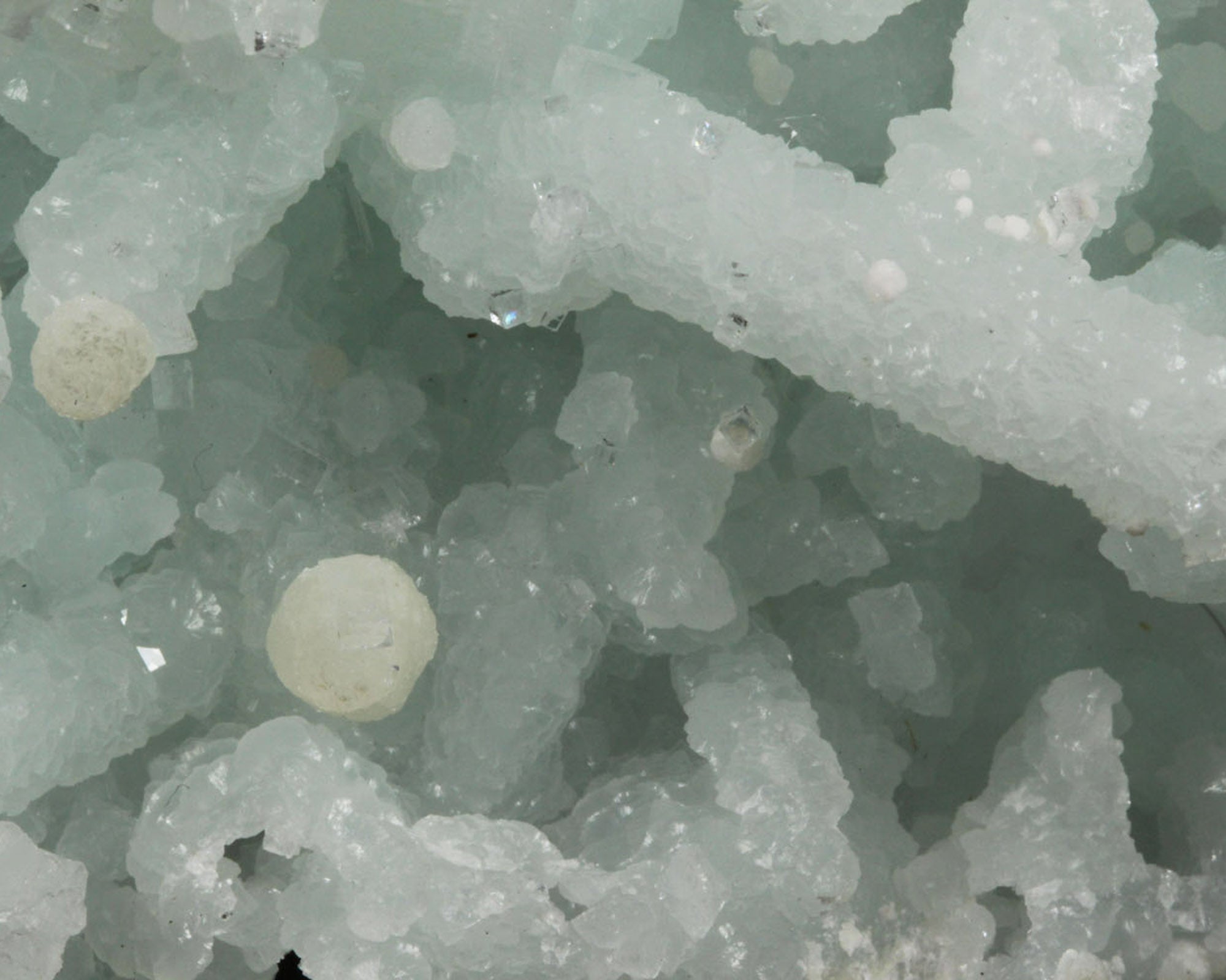 Prehnite with Apophyllite and Gyrolite