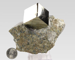 Pyrite Cube on Matrix-