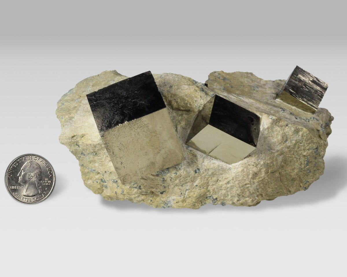 Pyrite Cubes on Matrix