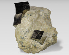 Pyrite Cubes on Matrix