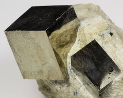 Pyrite Cubes on Matrix