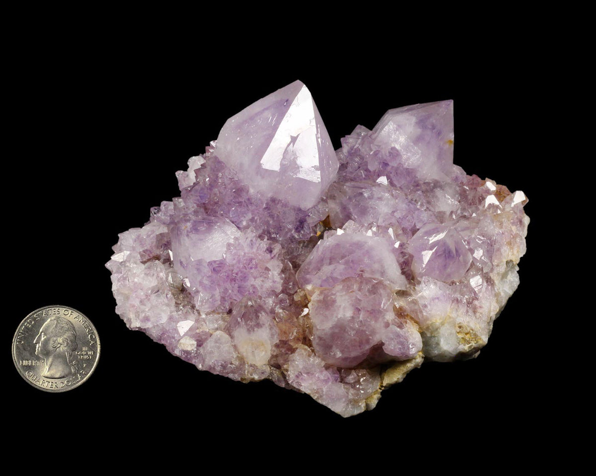 Amethyst, Cactus Quartz