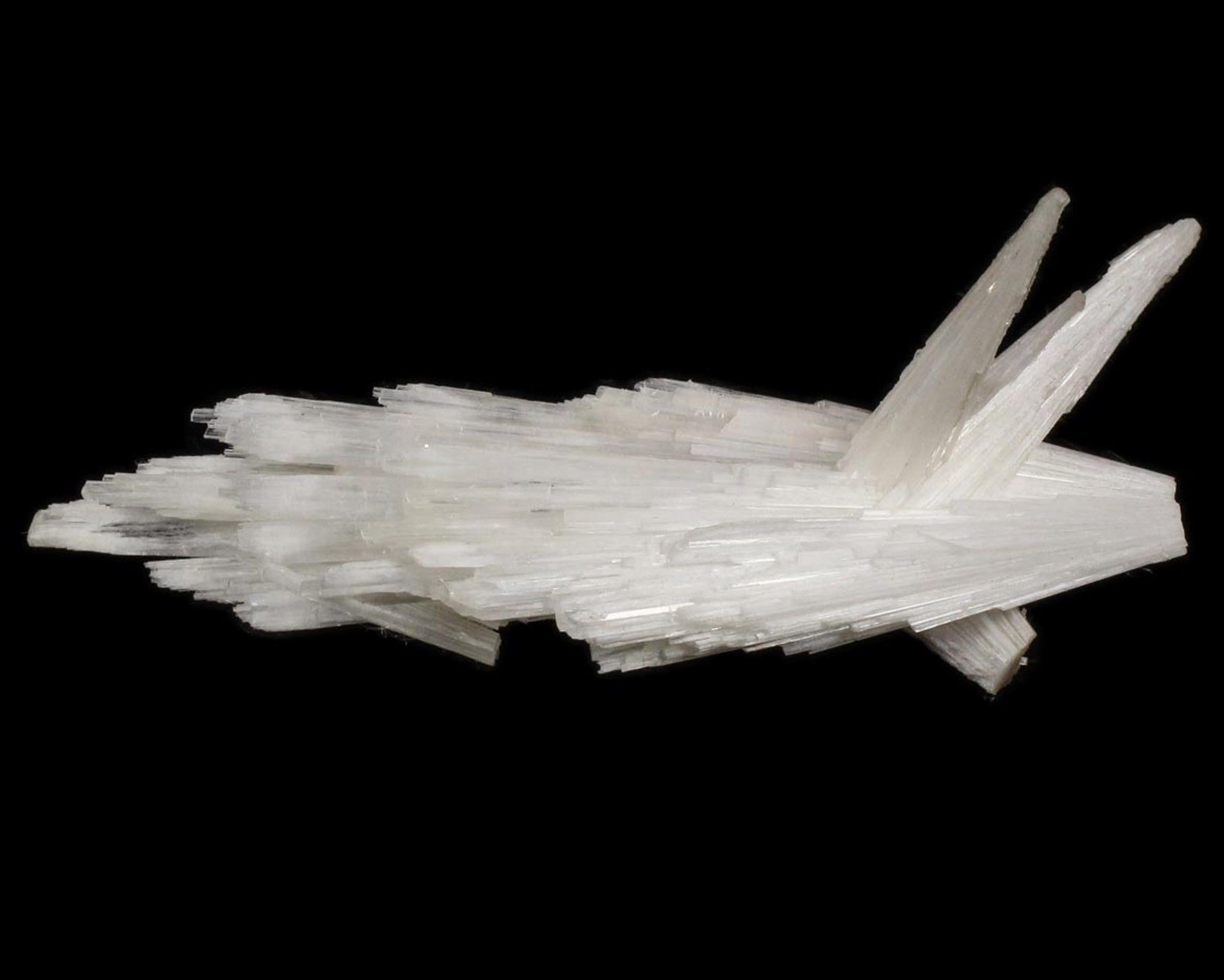 Scolecite